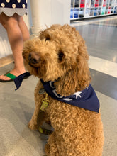 Load image into Gallery viewer, Chicago Doggo Dog Bandana
